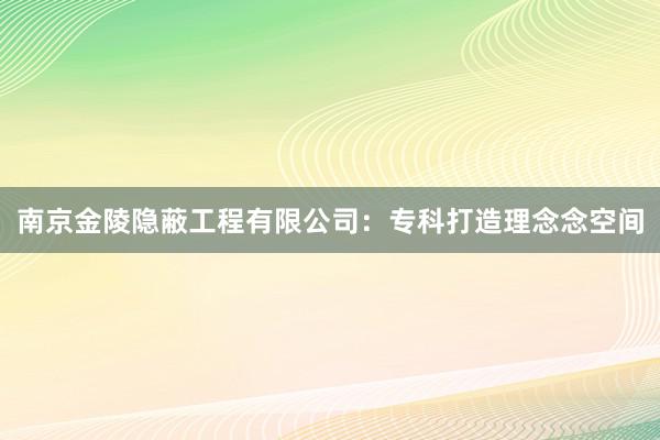 南京金陵隐蔽工程有限公司：专科打造理念念空间